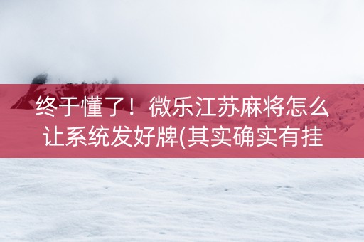 终于懂了！微乐江苏麻将怎么让系统发好牌(其实确实有挂)