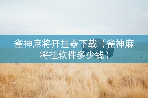 雀神麻将开挂器下载（雀神麻将挂软件多少钱）