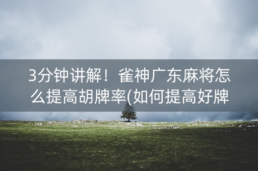 3分钟讲解！雀神广东麻将怎么提高胡牌率(如何提高好牌几率)