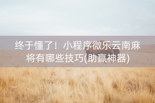 终于懂了！小程序微乐云南麻将有哪些技巧(助赢神器)