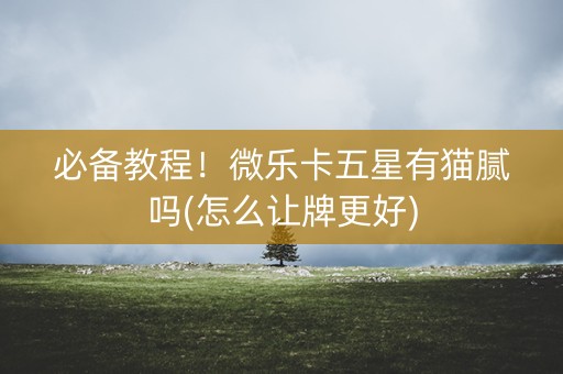必备教程！微乐卡五星有猫腻吗(怎么让牌更好)