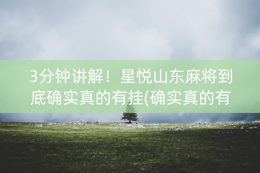 3分钟讲解！星悦山东麻将到底确实真的有挂(确实真的有挂)