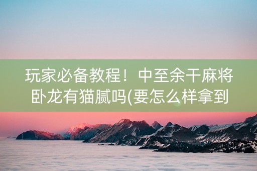 玩家必备教程！中至余干麻将卧龙有猫腻吗(要怎么样拿到好牌)
