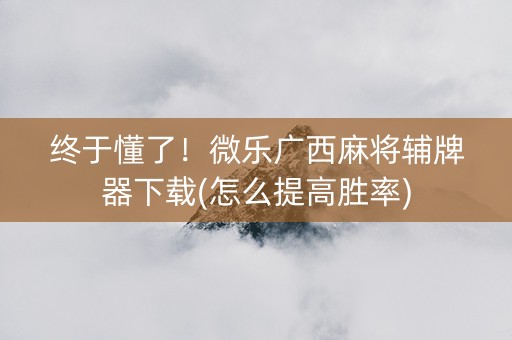 终于懂了！微乐广西麻将辅牌器下载(怎么提高胜率)