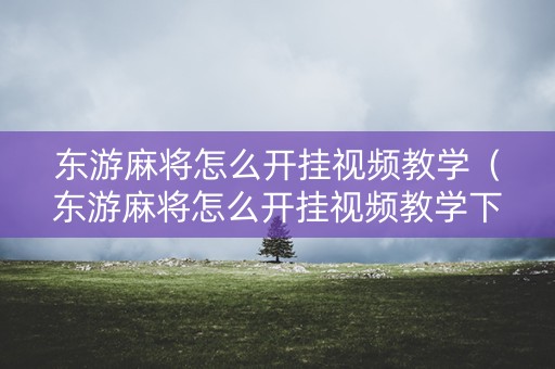 东游麻将怎么开挂视频教学（东游麻将怎么开挂视频教学下载）