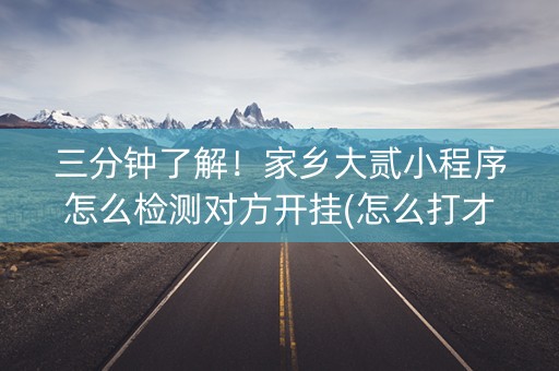 三分钟了解！家乡大贰小程序怎么检测对方开挂(怎么打才能赢)