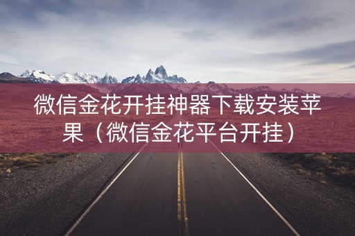 微信金花开挂神器下载安装苹果（微信金花平台开挂）