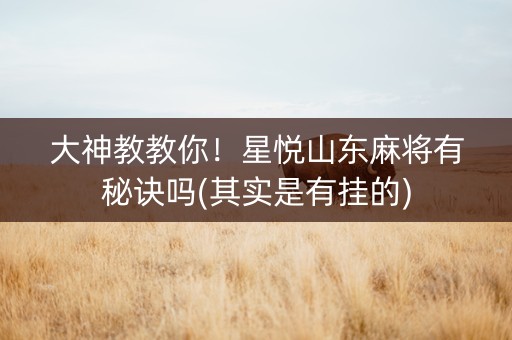 大神教教你！星悦山东麻将有秘诀吗(其实是有挂的)
