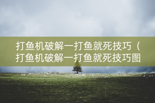 打鱼机破解一打鱼就死技巧（打鱼机破解一打鱼就死技巧图片）