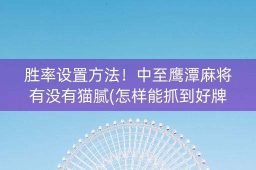 胜率设置方法！中至鹰潭麻将有没有猫腻(怎样能抓到好牌)