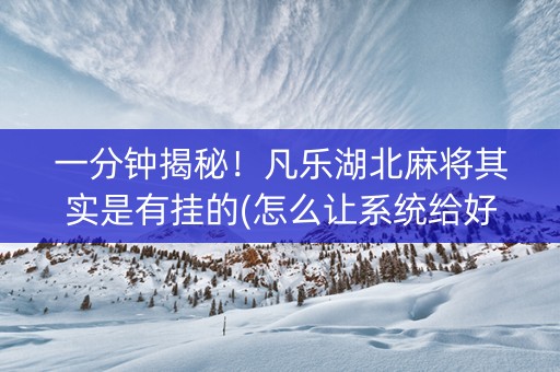 一分钟揭秘！凡乐湖北麻将其实是有挂的(怎么让系统给好牌)