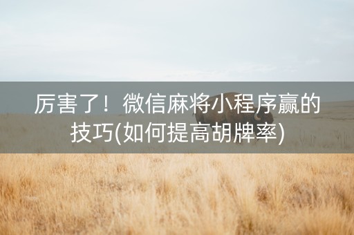 厉害了！微信麻将小程序赢的技巧(如何提高胡牌率)