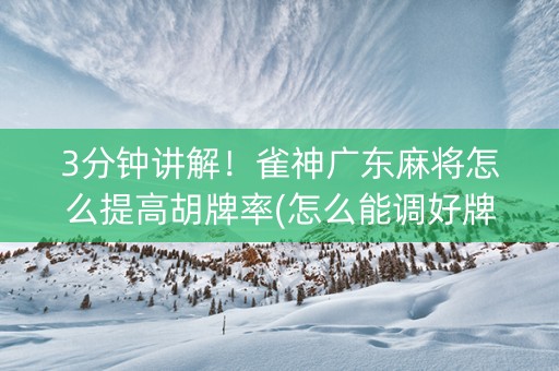 3分钟讲解！雀神广东麻将怎么提高胡牌率(怎么能调好牌)
