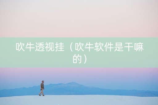 吹牛透视挂（吹牛软件是干嘛的）