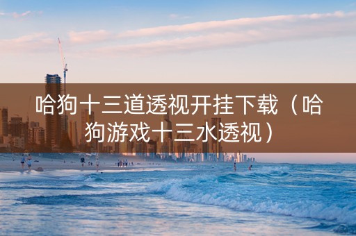 哈狗十三道透视开挂下载（哈狗游戏十三水透视）
