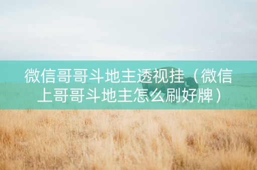 微信哥哥斗地主透视挂（微信上哥哥斗地主怎么刷好牌）