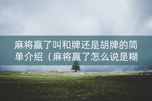麻将赢了叫和牌还是胡牌的简单介绍（麻将赢了怎么说是糊了一把）