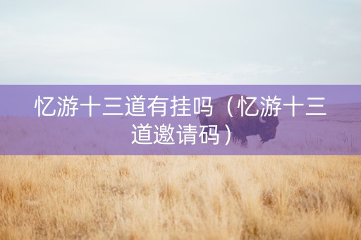 忆游十三道有挂吗（忆游十三道邀请码）