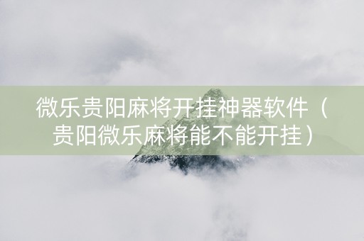 微乐贵阳麻将开挂神器软件（贵阳微乐麻将能不能开挂）