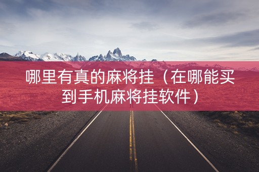 哪里有真的麻将挂（在哪能买到手机麻将挂软件）