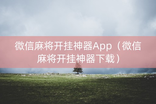 微信麻将开挂神器App（微信麻将开挂神器下载）
