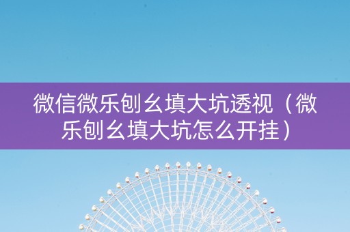 微信微乐刨幺填大坑透视（微乐刨幺填大坑怎么开挂）