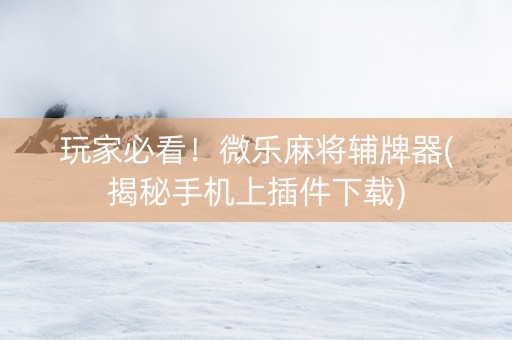 玩家必看！微乐麻将辅牌器(揭秘手机上插件下载)