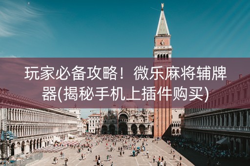 玩家必备攻略！微乐麻将辅牌器(揭秘手机上插件购买)