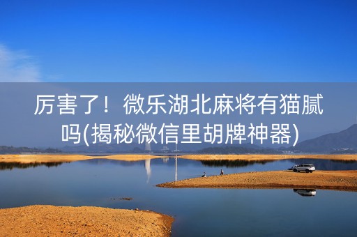 厉害了！微乐湖北麻将有猫腻吗(揭秘微信里胡牌神器)
