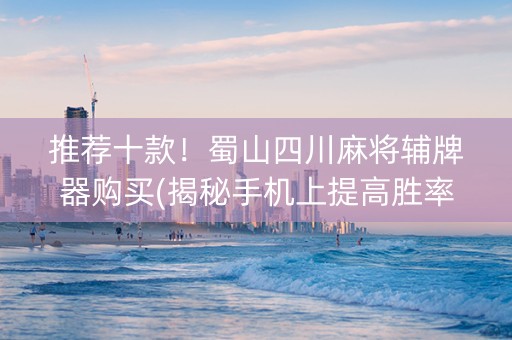 推荐十款！蜀山四川麻将辅牌器购买(揭秘手机上提高胜率)