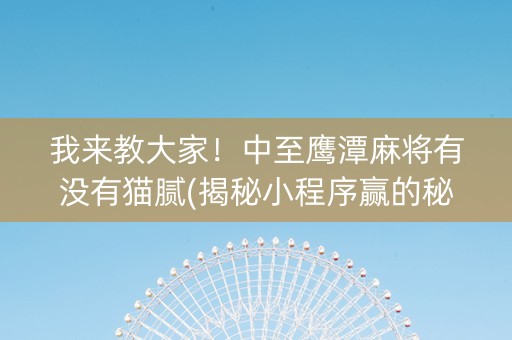 我来教大家！中至鹰潭麻将有没有猫腻(揭秘小程序赢的秘诀)