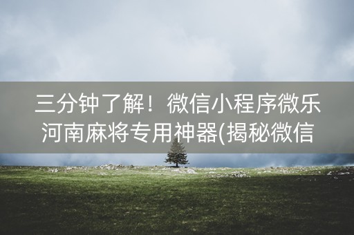 三分钟了解！微信小程序微乐河南麻将专用神器(揭秘微信里系统发好牌)