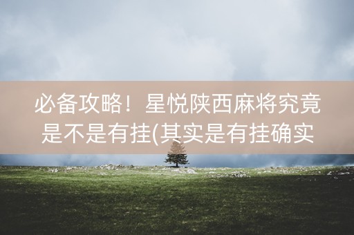 必备攻略！星悦陕西麻将究竟是不是有挂(其实是有挂确实有挂)
