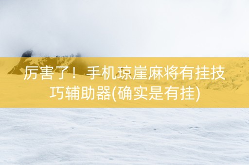 厉害了！手机琼崖麻将有挂技巧辅助器(确实是有挂)