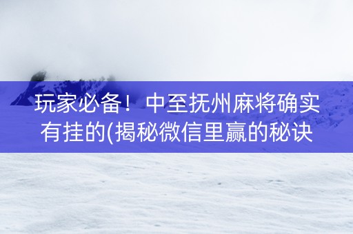 玩家必备！中至抚州麻将确实有挂的(揭秘微信里赢的秘诀)