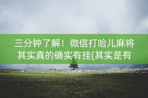 三分钟了解！微信打哈儿麻将其实真的确实有挂(其实是有挂的)