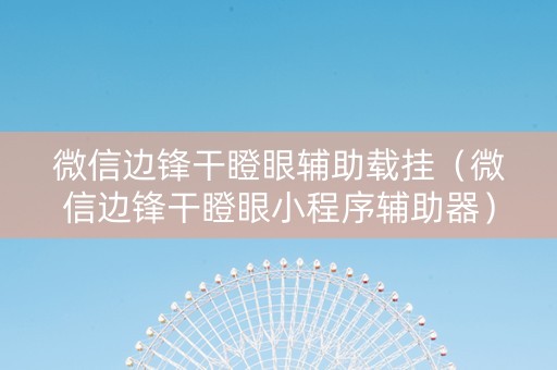 微信边锋干瞪眼辅助载挂（微信边锋干瞪眼小程序辅助器）