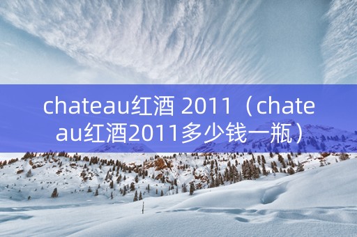 chateau红酒 2011（chateau红酒2011多少钱一瓶）