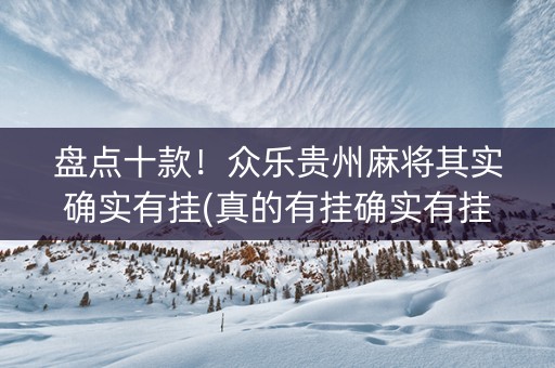 盘点十款！众乐贵州麻将其实确实有挂(真的有挂确实有挂)
