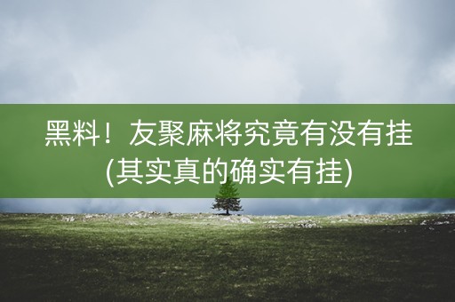 黑料！友聚麻将究竟有没有挂(其实真的确实有挂)