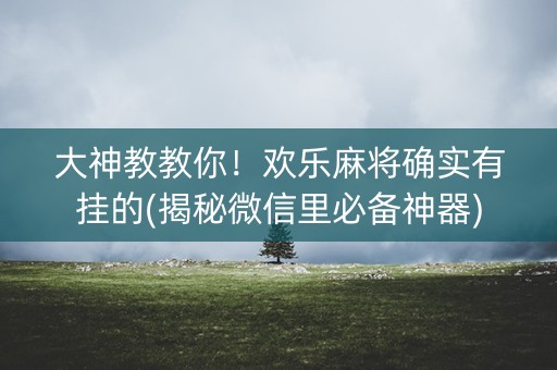 大神教教你！欢乐麻将确实有挂的(揭秘微信里必备神器)