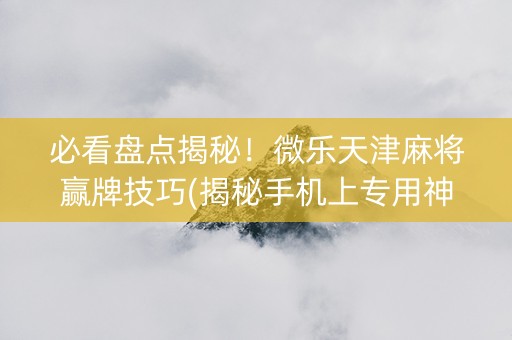 必看盘点揭秘！微乐天津麻将赢牌技巧(揭秘手机上专用神器下载)