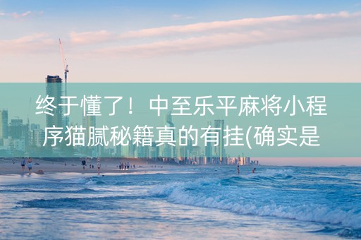终于懂了！中至乐平麻将小程序猫腻秘籍真的有挂(确实是有挂的)