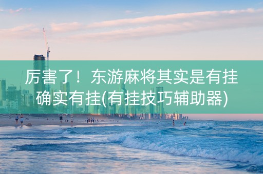 厉害了！东游麻将其实是有挂确实有挂(有挂技巧辅助器)