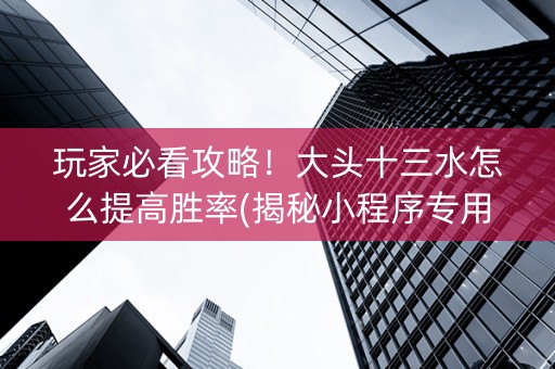 玩家必看攻略！大头十三水怎么提高胜率(揭秘小程序专用神器下载)