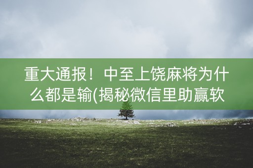 重大通报！中至上饶麻将为什么都是输(揭秘微信里助赢软件)