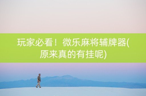 玩家必看！微乐麻将辅牌器(原来真的有挂呢)