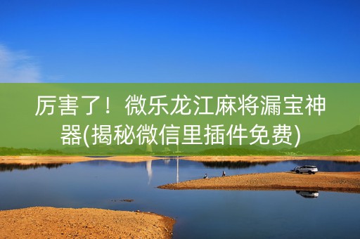 厉害了！微乐龙江麻将漏宝神器(揭秘微信里插件免费)