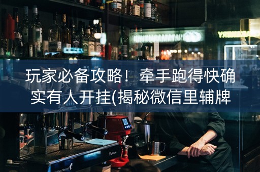 玩家必备攻略！牵手跑得快确实有人开挂(揭秘微信里辅牌器)