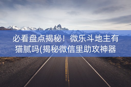 必看盘点揭秘！微乐斗地主有猫腻吗(揭秘微信里助攻神器)